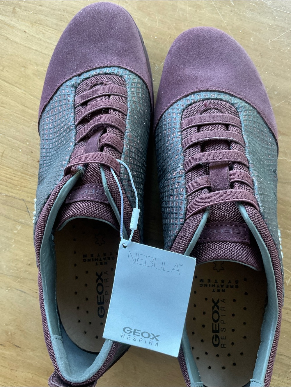 Geox Men’s Nebula Sneakers in Plum and Teal